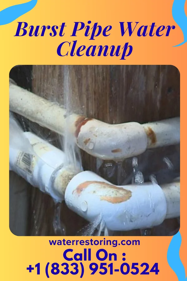 Burst Pipe Water Cleanup in Summerhaven, AZ