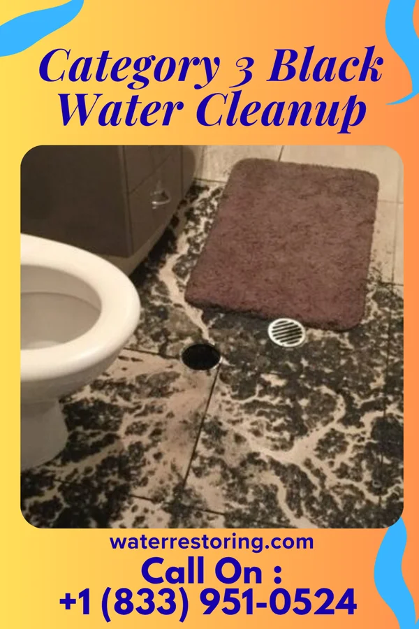 Category 3 Black Water Cleanup in Summerhaven, AZ