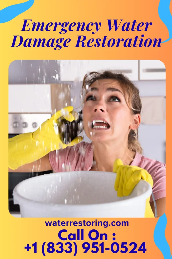 Emergency Water Damage Restoration in Summerhaven, AZ